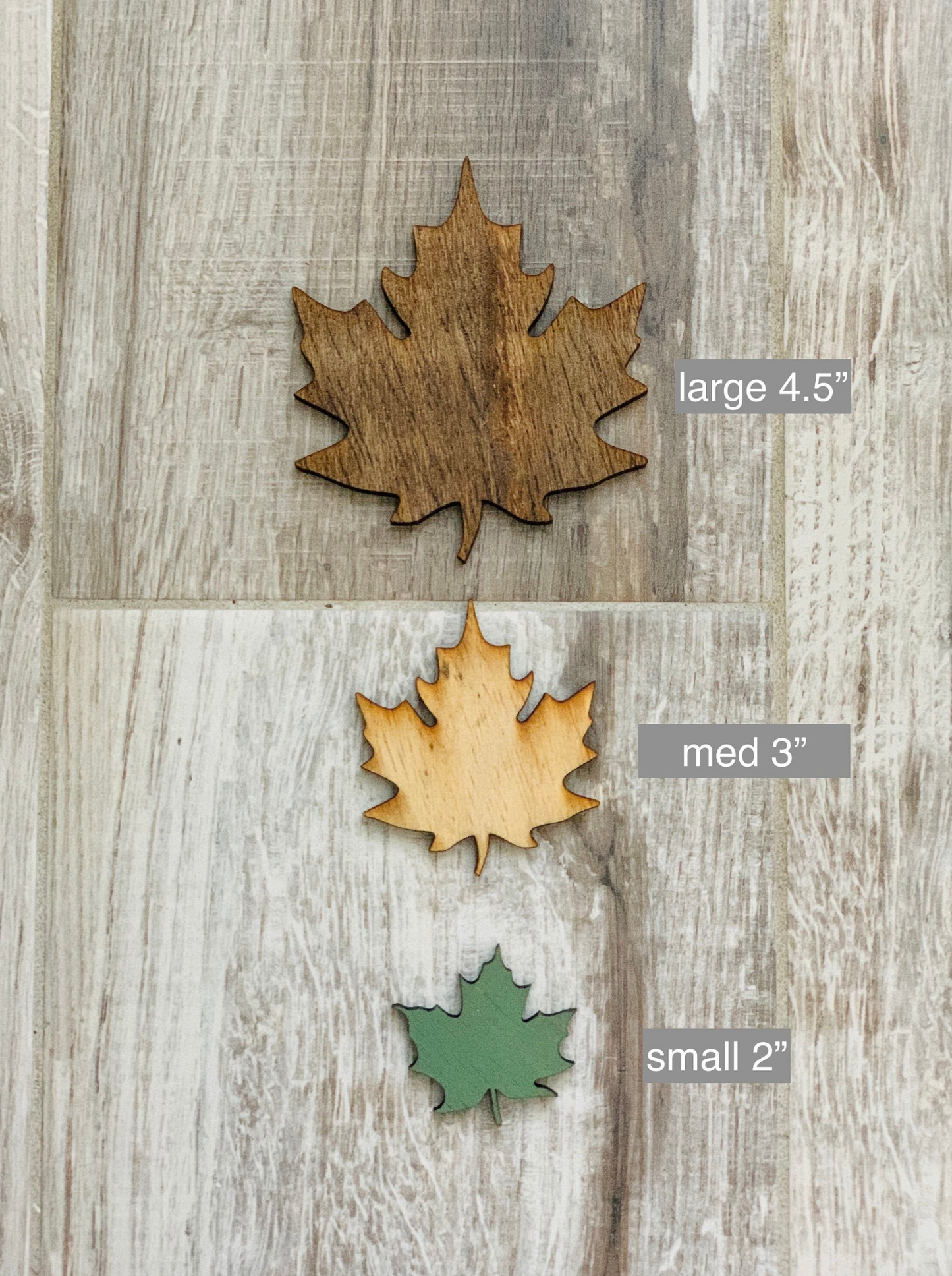 Set of wood leaves