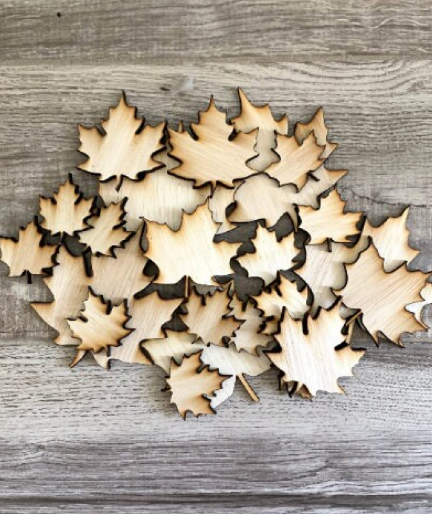 Set of wood leaves