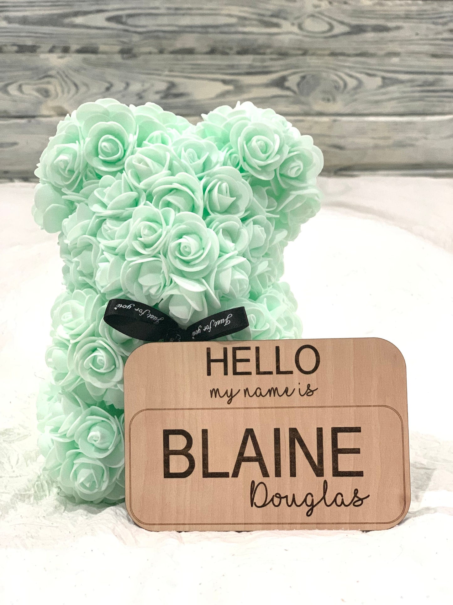 Hello my name is sign / baby name tag photo prop