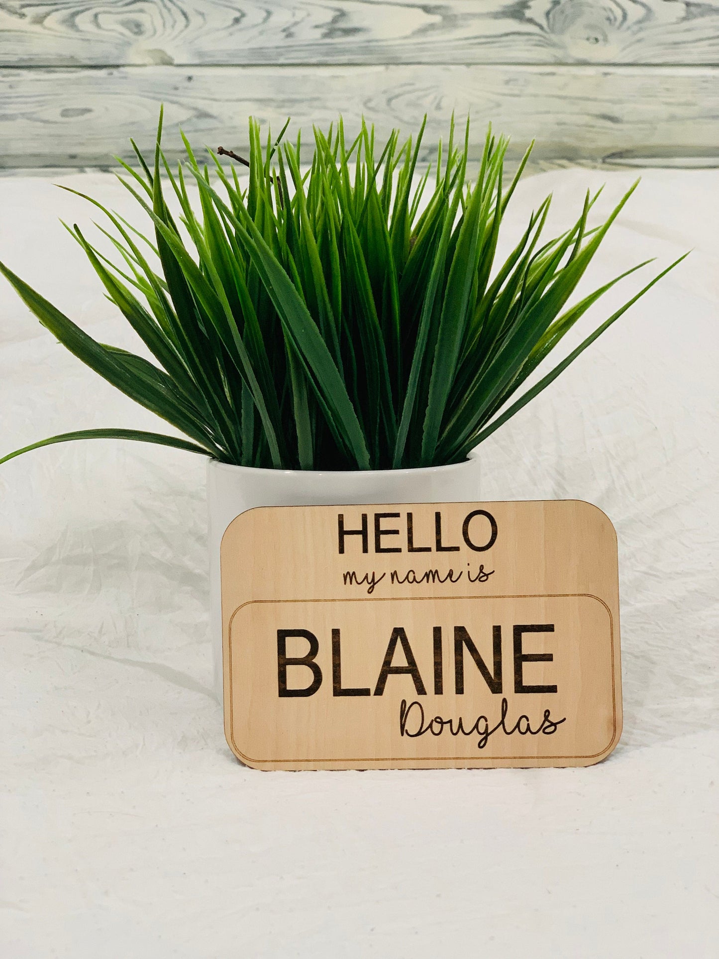 Hello my name is sign / baby name tag photo prop