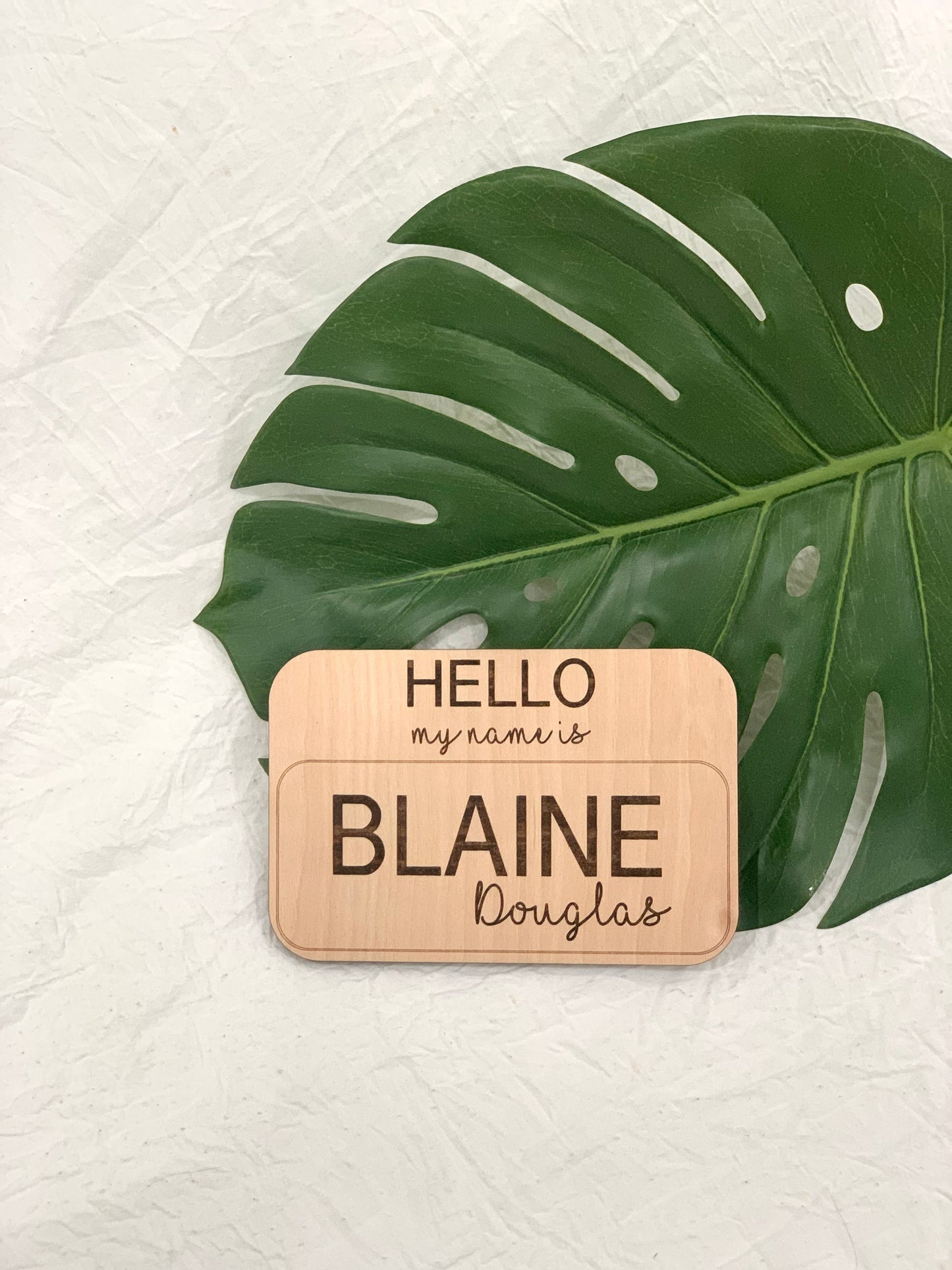 Hello my name is sign / baby name tag photo prop