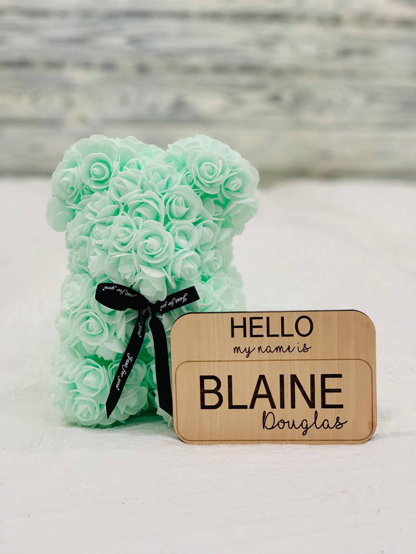 Hello my name is sign / baby name tag photo prop